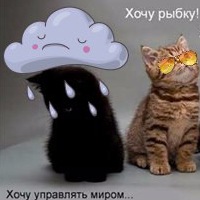 Хочу управлять. Хочу рыбку хочу управлять миром. Котики хочу управлять миром. Хочу управлять миром. Кот хочет управлять миром.