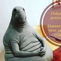 Коддакс