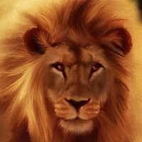 Lion Lee